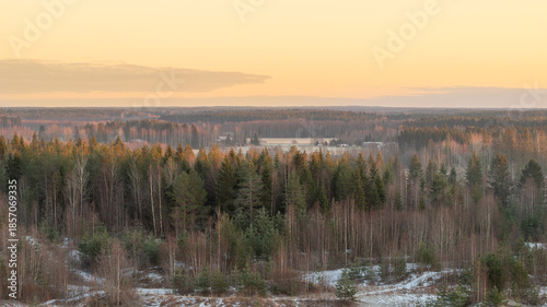 Fotografi Finnish forest in early winter at sunset