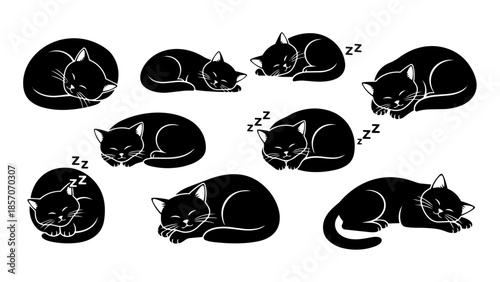 Collection of Black Cats Sleeping and Relaxing in Various Poses