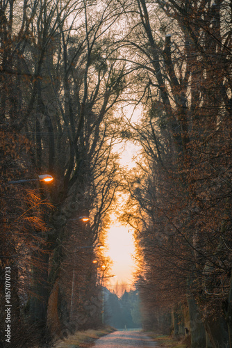 A very frosty but snowless sunrise in the park in Słębowo near Żnin, Pałuki region.