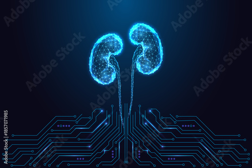 Futuristic digital kidneys in glowing low-poly medical tech style on circuit background, vector