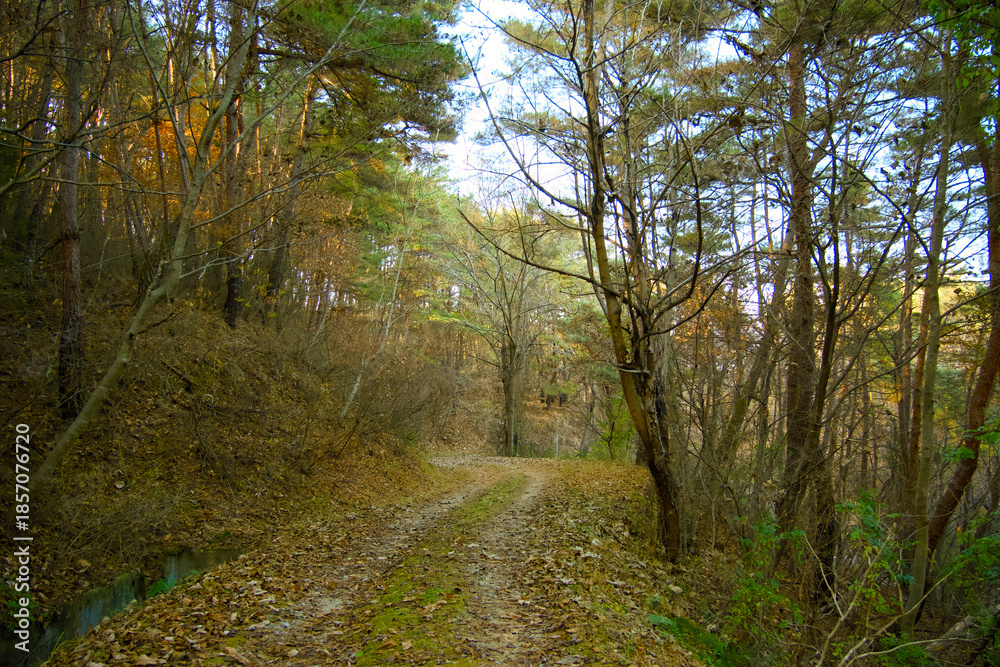 Fototapeta premium A beautiful walk in the autumn mountains