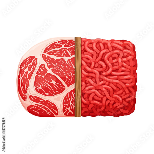 Illustration of a raw steak and a human brain separated by a zipper on a white background.