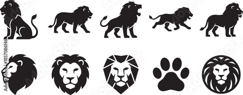 Collection of various lion silhouettes in different poses and styles vector
