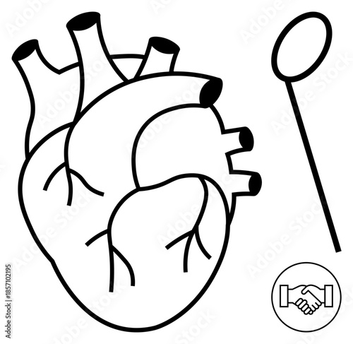 Heart anatomy. A detailed human heart diagram with arteries and a medical mirror tool. Heart anatomy visual used for education, healthcare, cardiology, and medical research. Topics scientific study