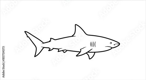 Simple Cartoon Illustration of a Shark with Basic Outlines and Minimal Detail