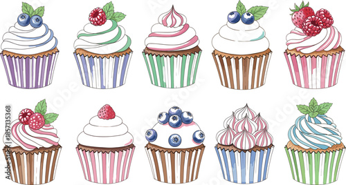 Large collection of gourmet cupcake vectors with whipped cream frosting fresh blueberries raspberries and mint leaves for bakery cafe dessert menu branding.