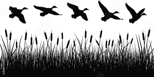 Black silhouette set of professional construction workers, builders, and contractors with tools, ladders, and equipment for industrial site labor projects.