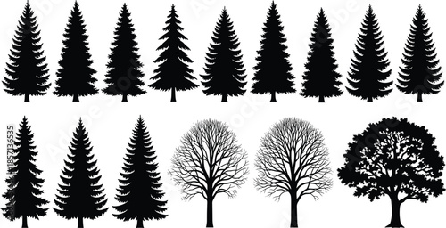 Black silhouette set of various forest trees, pine, spruce, and oak deciduous species isolated on white background for nature landscape design.
