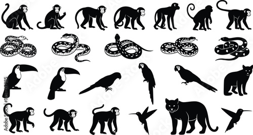 Black silhouettes of jungle animals including monkeys snakes toucans parrots and wild cats for tropical nature wildlife and zoo design concept