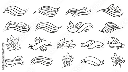 Hand Drawn Organic Leaf and Wave Elements Collection.