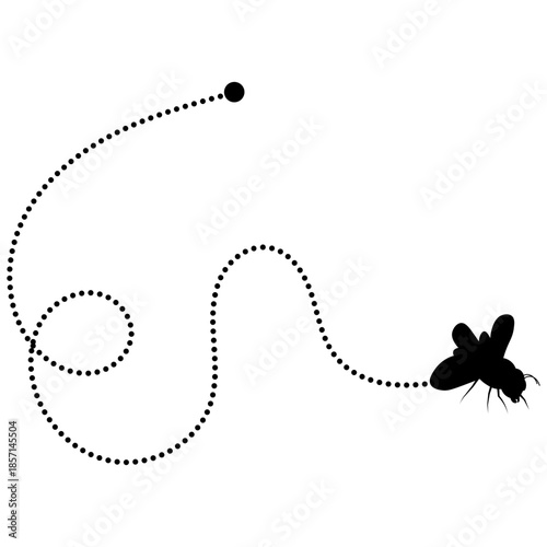 Flying Bee Trail