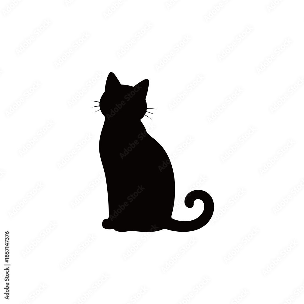 Fototapeta premium black and white cat