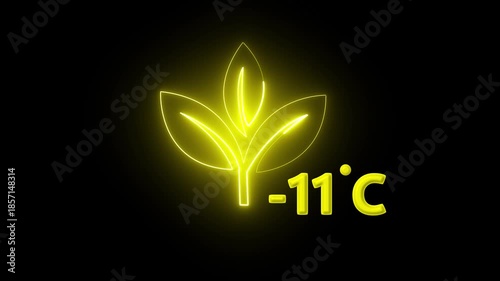 Protection of the environment Weather forecast related.Glowing neon digital temperature display showing minus 11°C onblack background, futuristic LED-style number,Researches minus 11degrees centigrade