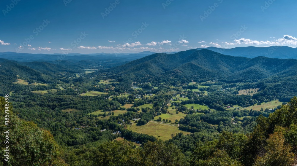 Naklejka premium Verdant Appalachian Valley Panorama Under Blue Sky.