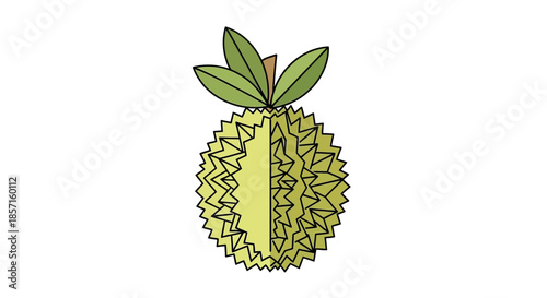 Stylized Digital Illustration of a Durian Fruit with Leaves Emphasizing Its Spiky Texture and
