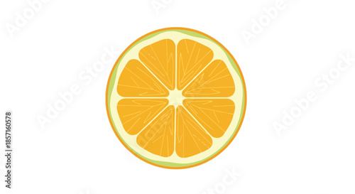 Vivid Cross-Section Illustration of an Orange with Bright Juicy Segments and Fresh Outer Peel