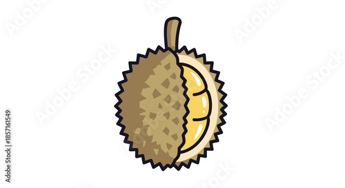 Illustration of a durian fruit cut in half revealing its spiky exterior and creamy interior with a