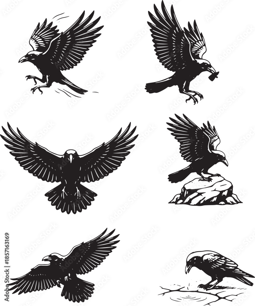 Fototapeta premium crow silhouette