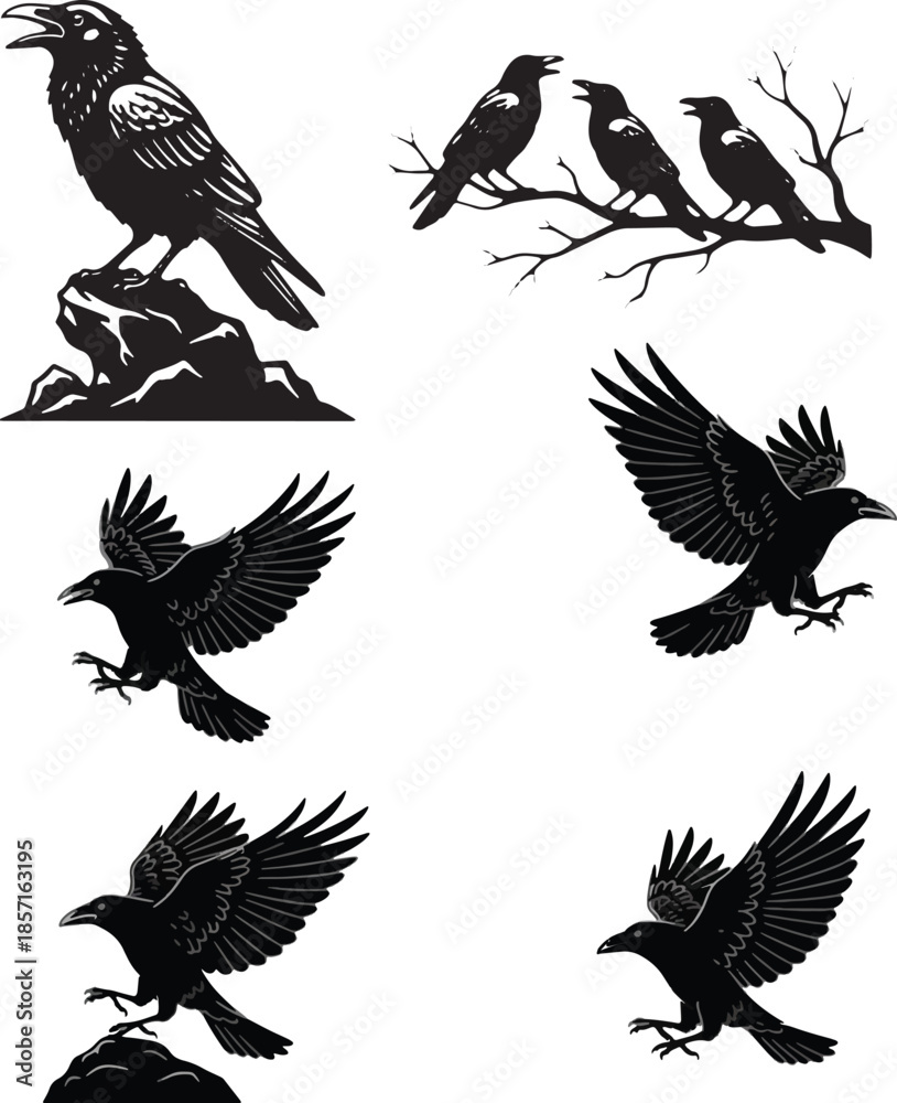 Obraz premium crow silhouette