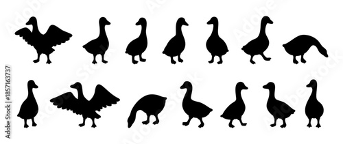 Black goose silhouettes in various cartoon poses. Simple goose icons on white background