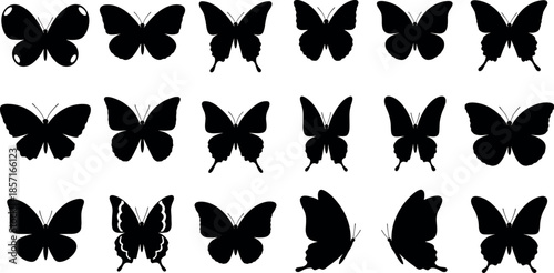 Black butterfly silhouette collection set with various species shapes isolated on white background for nature logo icons and decorative design elements