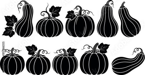 Set of ten black pumpkin and squash silhouettes with curly vines and leaves for autumn harvest thanksgiving and halloween vector decorations
