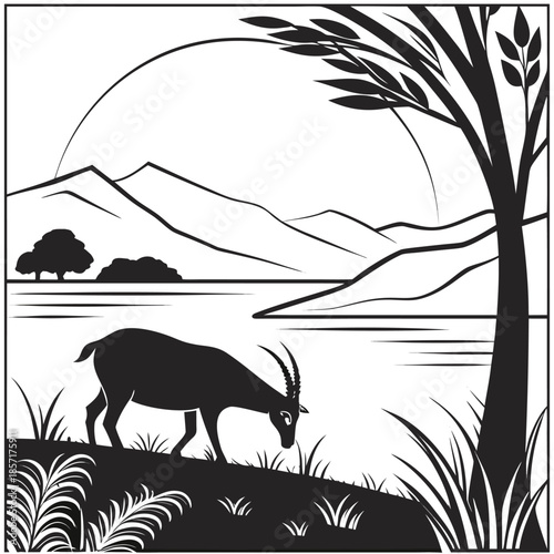 wild animals in the forest