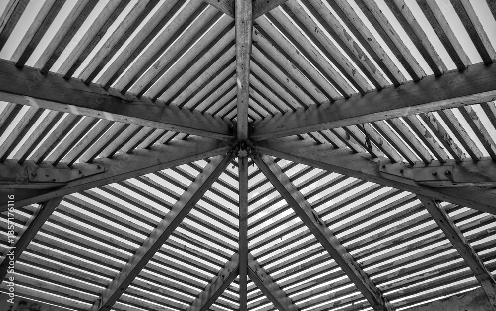 Obraz premium Abstract Metal Background in Black and White.