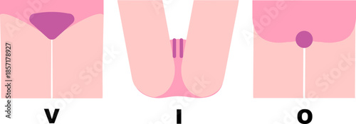 Vector illustration set of VIO hair removal areas for women (V-line, I-line, O-line)