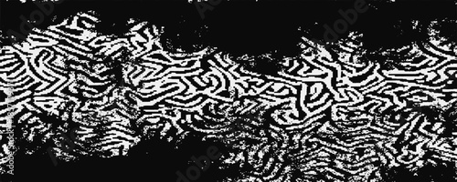 Abstract white powder explosion isolated on black background.