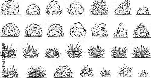 Variety of lichen and moss growth patterns illustration