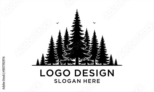 Pine Forest Logo Design with Birds Flying Above.