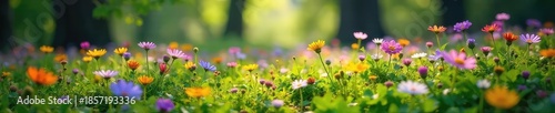 Lush wildflowers carpet a sun-dappled forest floor, creating a vibrant and enchanting scene Perfect for nature, spring, and environmental themes , growth, colorful, environment