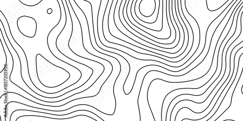 Seamless black and white abstract vector background featuring a geometric wave pattern with swirl line art and a textured floral ornament style for a modern wallpaper design backdrop