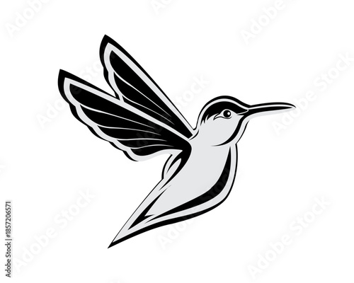 bird logo design and art