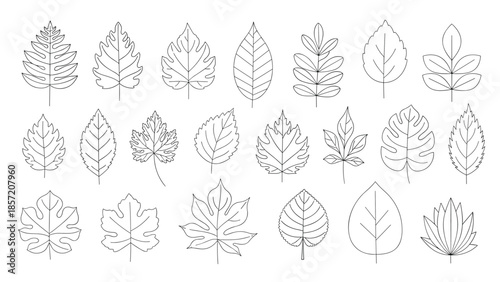 A large collection of diverse tree leaf icons with various shapes and veins, illustrated in a minimal black and white dotted outline style.