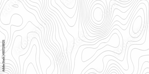 Contour abstract map relief land outline. Topographic map patterns. White wave paper curved reliefs abstract background. Background of the topography map. Abstract pattern with lines.