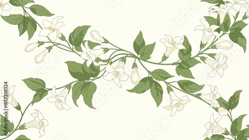 An elegant seamless floral border with intertwining white jasmine flower vines and green leaves on a light cream-colored background.