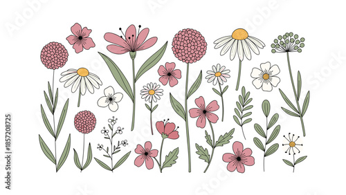 A lovely collection of hand-drawn wildflowers and leaves in pastel pink and green, created in a charming and rustic doodle style.