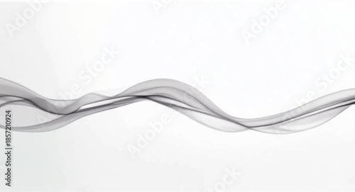 Elegant Thin Black Smoke Wisps and Fluid Lines Flowing on White