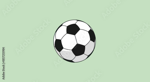 Classic soccer ball on a light green background