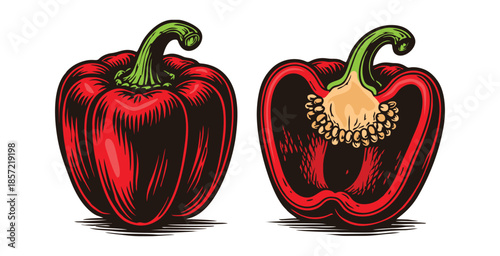 Red bell pepper illustration showing whole and sliced half sections.