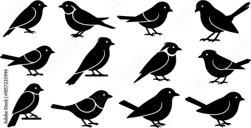 A versatile vector collection of black bird silhouettes, showcasing various perching avian species with minimalist graphic details, ideal for nature-themed design projects and wildlife illustrations