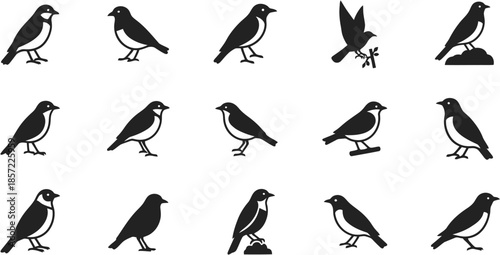 Versatile set of bird silhouettes, showcasing various perching and flying poses, perfect for nature-themed icons, educational graphics, and ecological designs