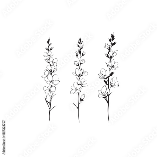 Loosestrife icon line art garden plant