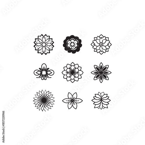 Machaeranthera icon line art garden plant symbol