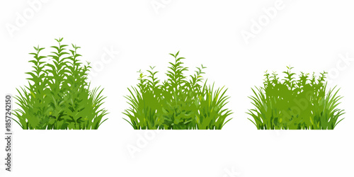 A visual depiction of three vibrant green grass patches of varying sizes