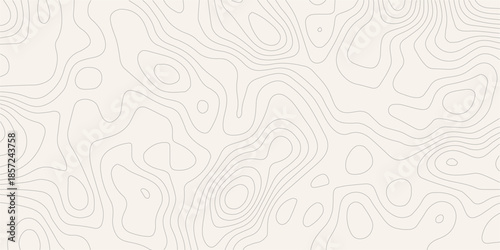 Topography wave line grid map. white wave line geography landscape Topography contour map on white background. Geographic mountain relief diagram line wave carve pattern.