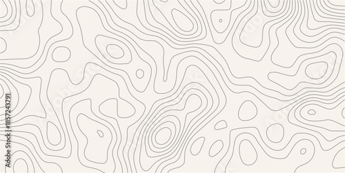 Topography wave line grid map. white wave line geography landscape Topography contour map on white background. Geographic mountain relief diagram line wave carve pattern.