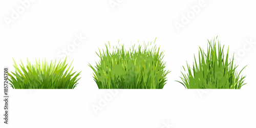 Three patches of vibrant green grass isolated on a white background